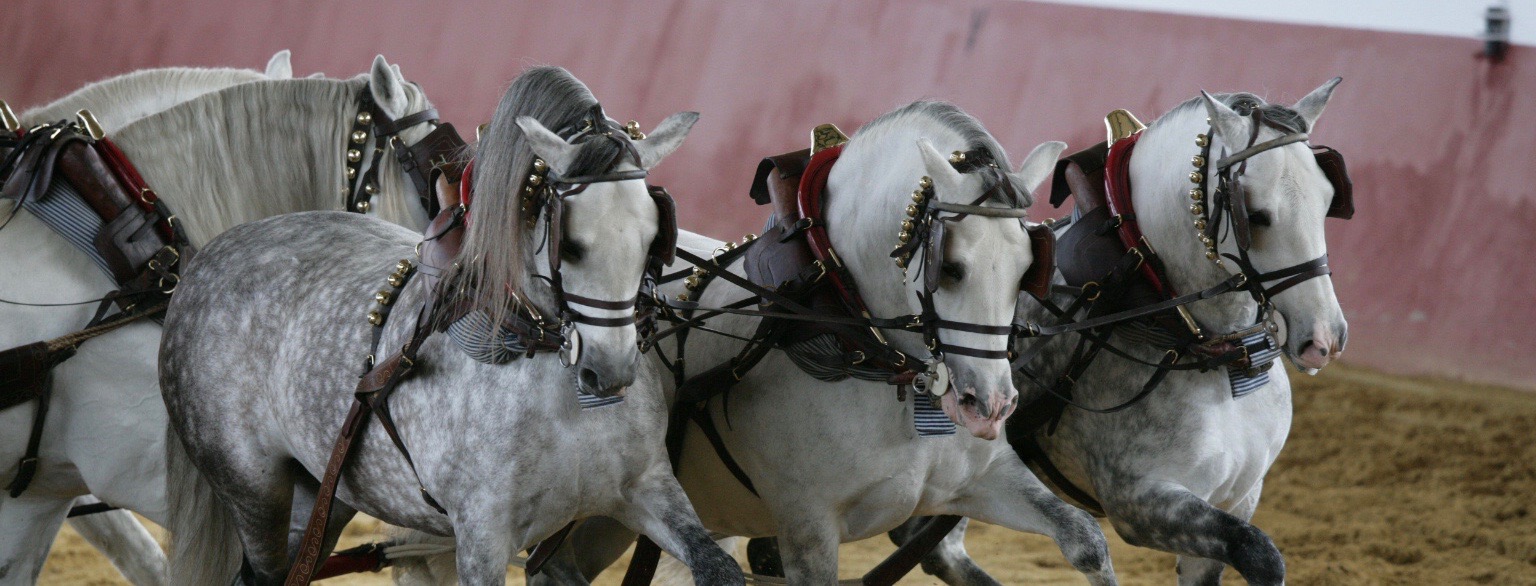 eventreisen1
